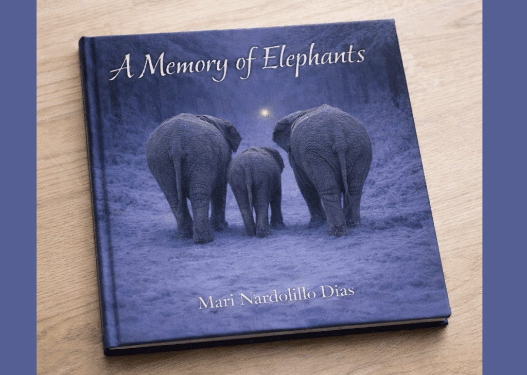 Book cover showing three elephants walking under a starry sky.