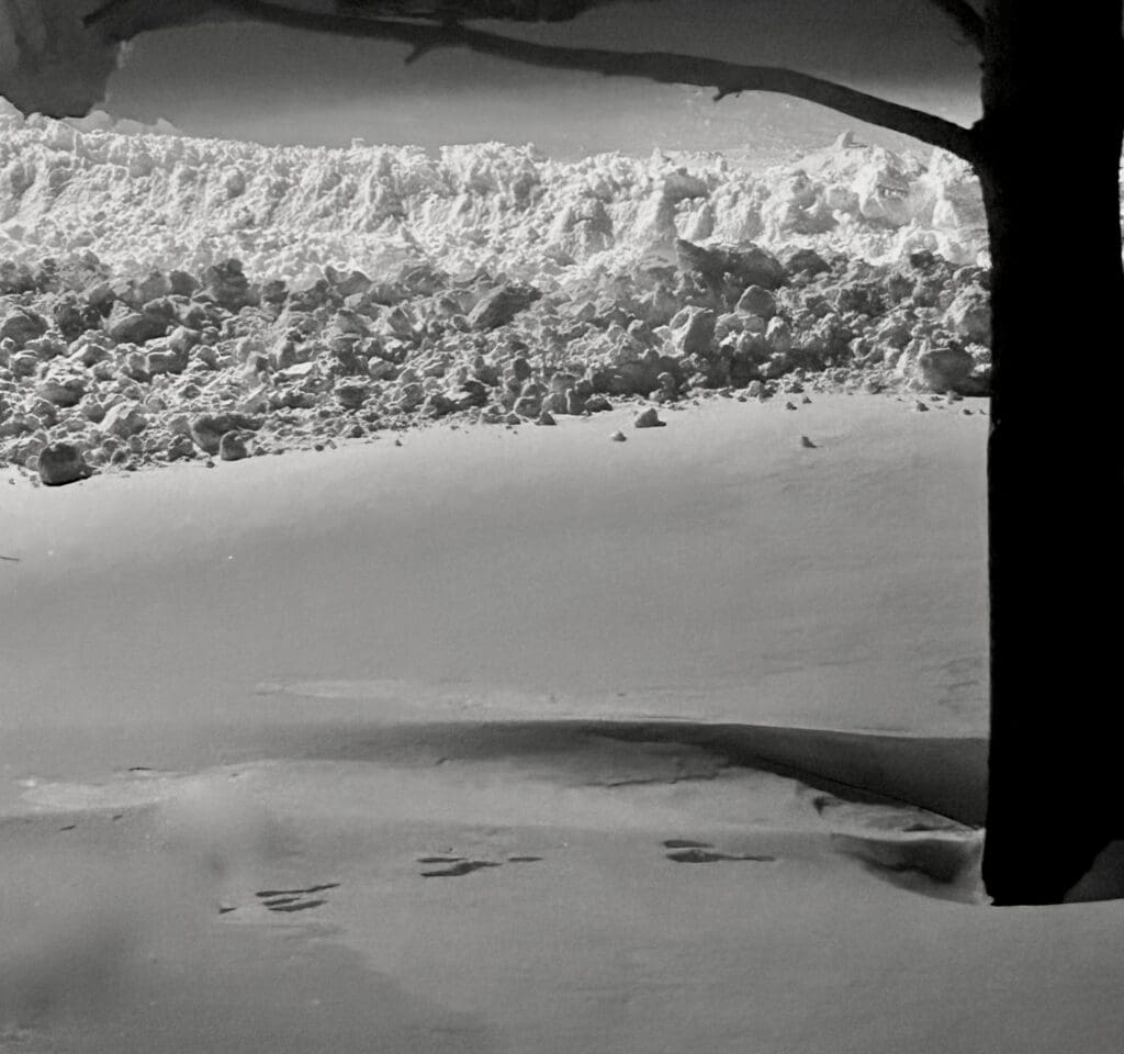 Snow-covered landscape viewed through a window with footprints in the snow.