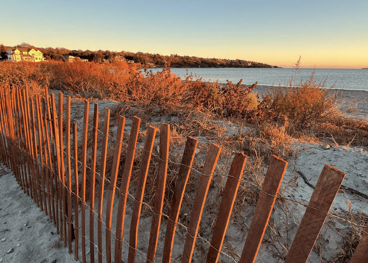 Jane Buxton, Spencer Asofsky, Hongbing Tang, Tim Purcell, Stephanie Nordhoff, and Courtney Goode. (Photos / URI Landscape Architecture)