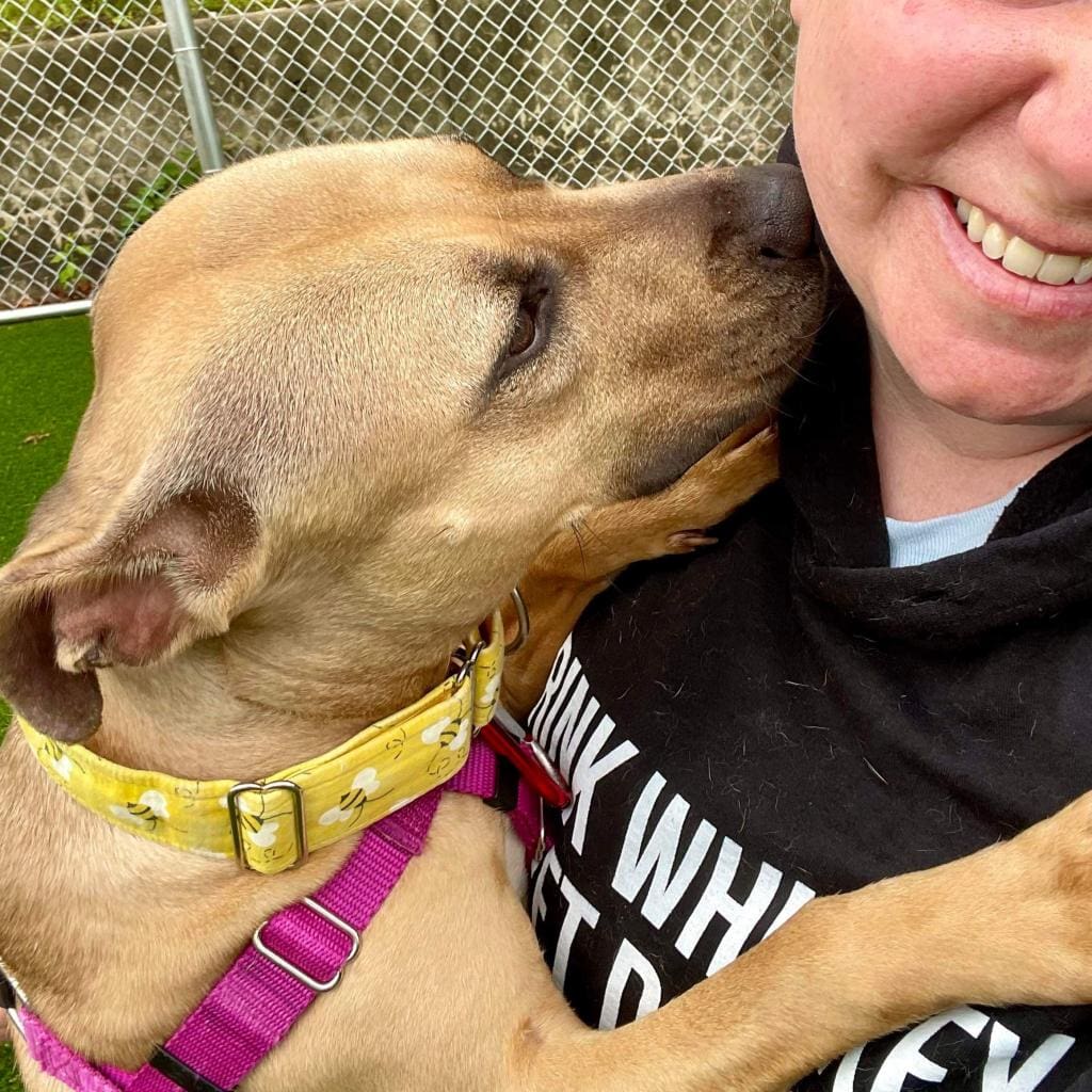 Dog affectionately licking a person's face outdoors.