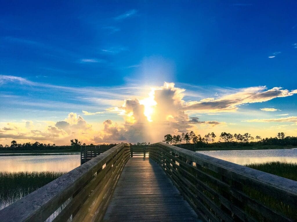 A scenic sunset over a wooden bridge with palm trees and water.
