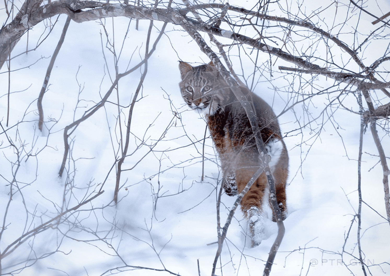 Screen Shot 2026-03-06 at 12.44.46 PM