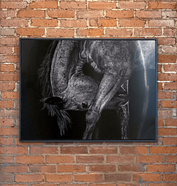 Screen Shot 2026-03-09 at 11.58.54 AM