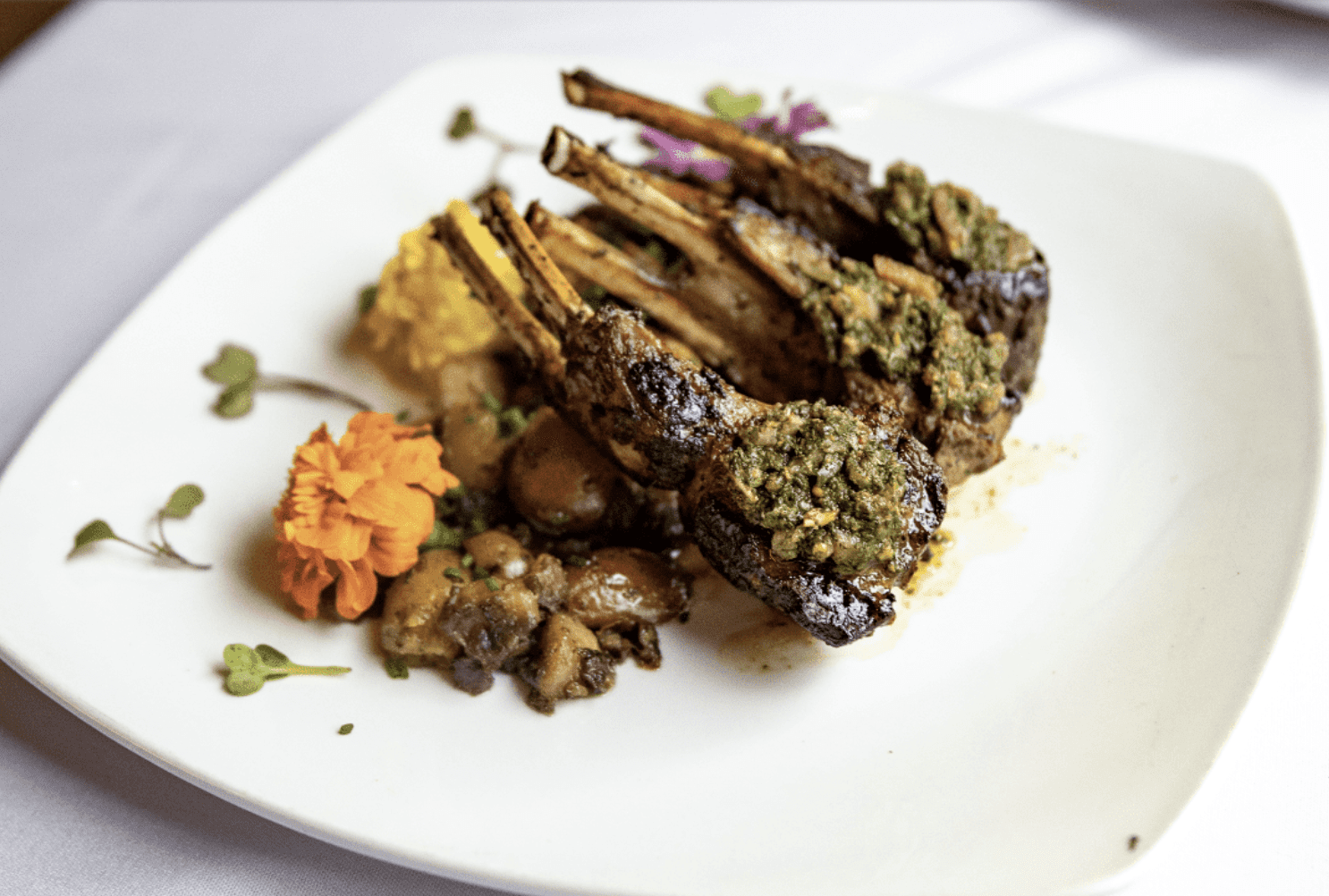 Screen Shot 2026-03-25 at 12.33.22 PM