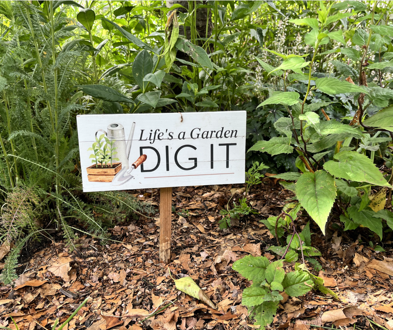 Screen Shot 2026-04-20 at 1.00.27 PM