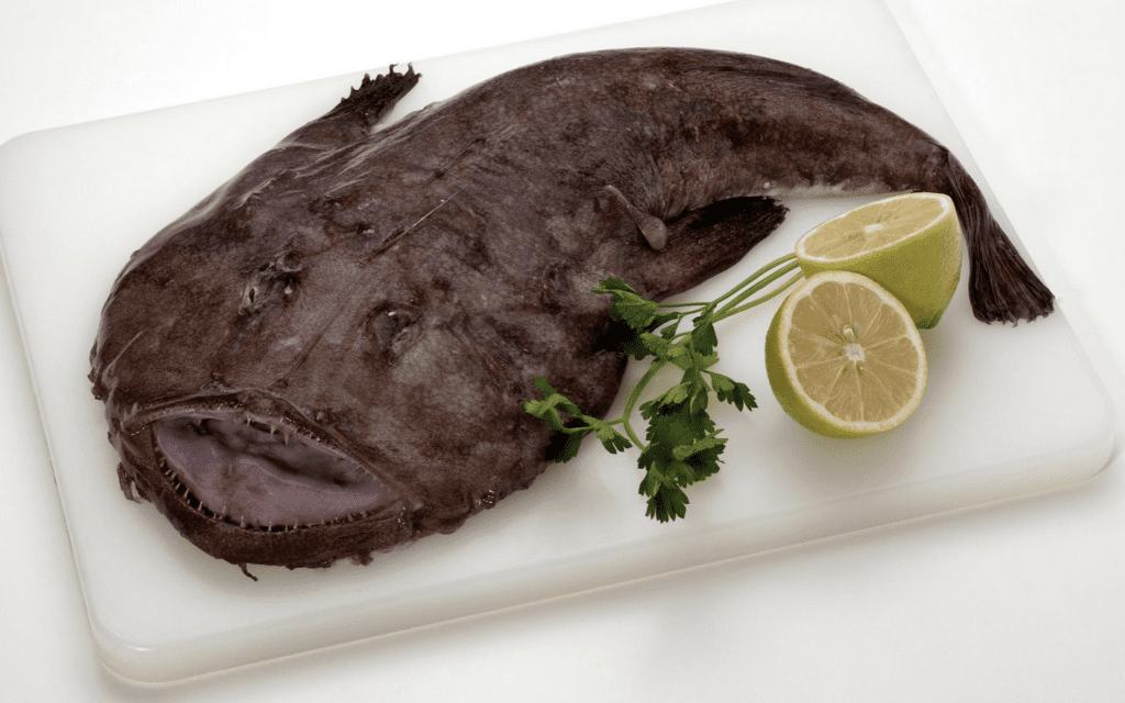 monkfish in natural state
