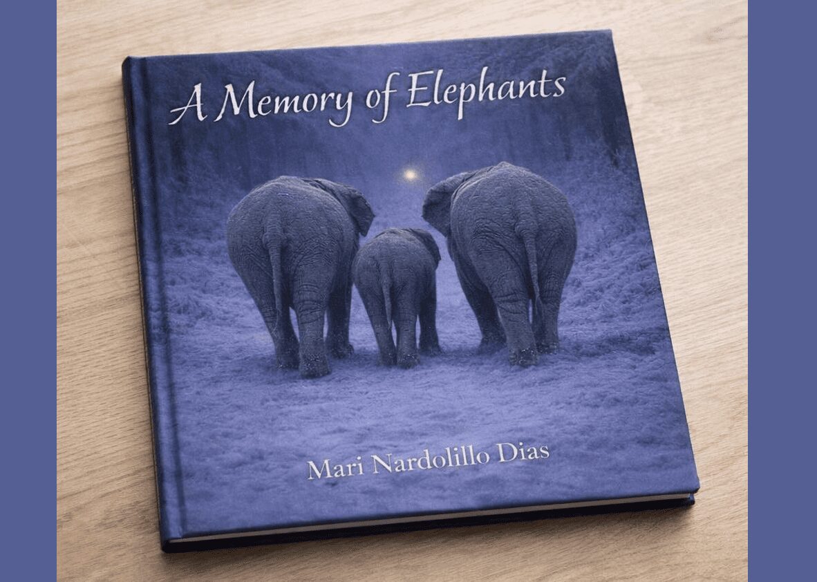 a memory of elephants book by mari nardolillo dias