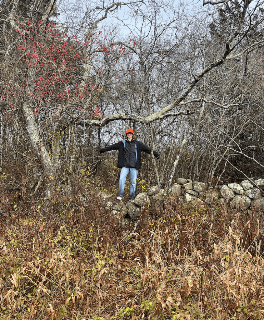 RI stone walls