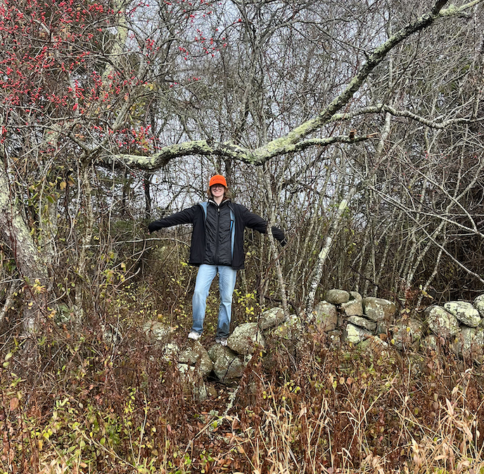 RI stone walls