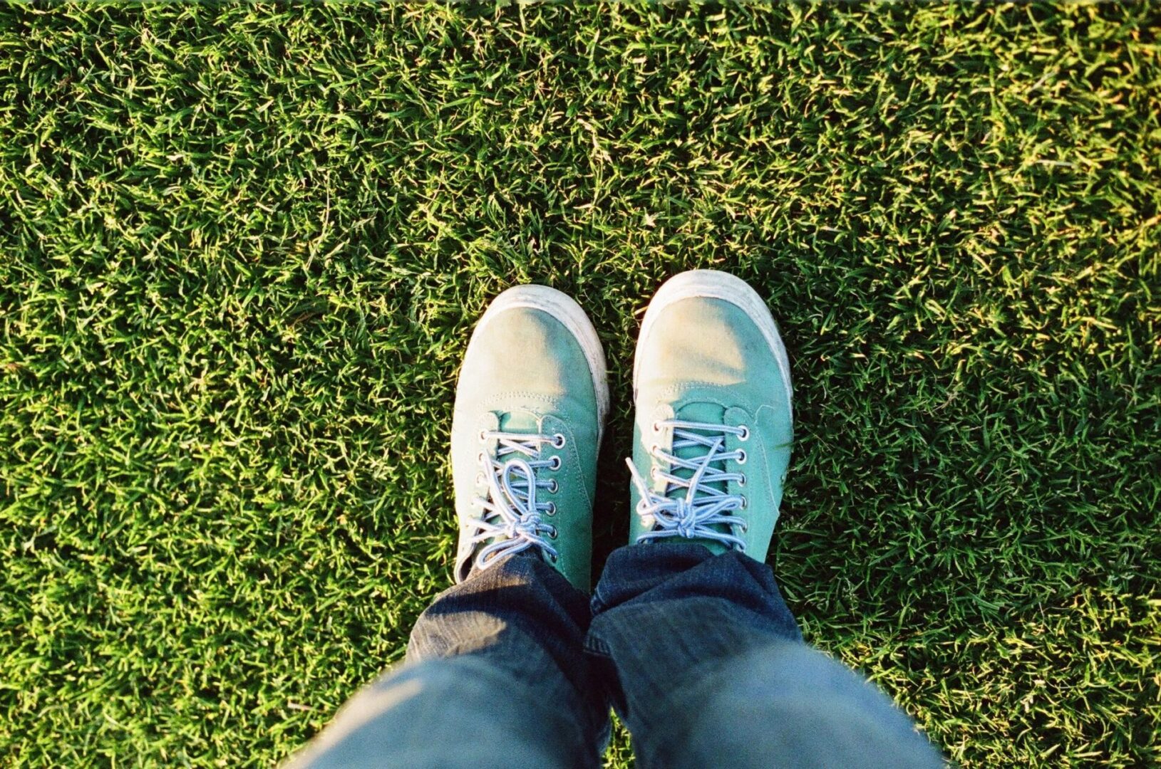 lawn