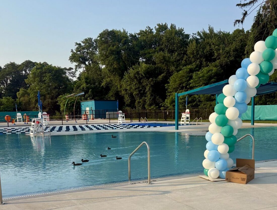 ducks first in the budlong pool