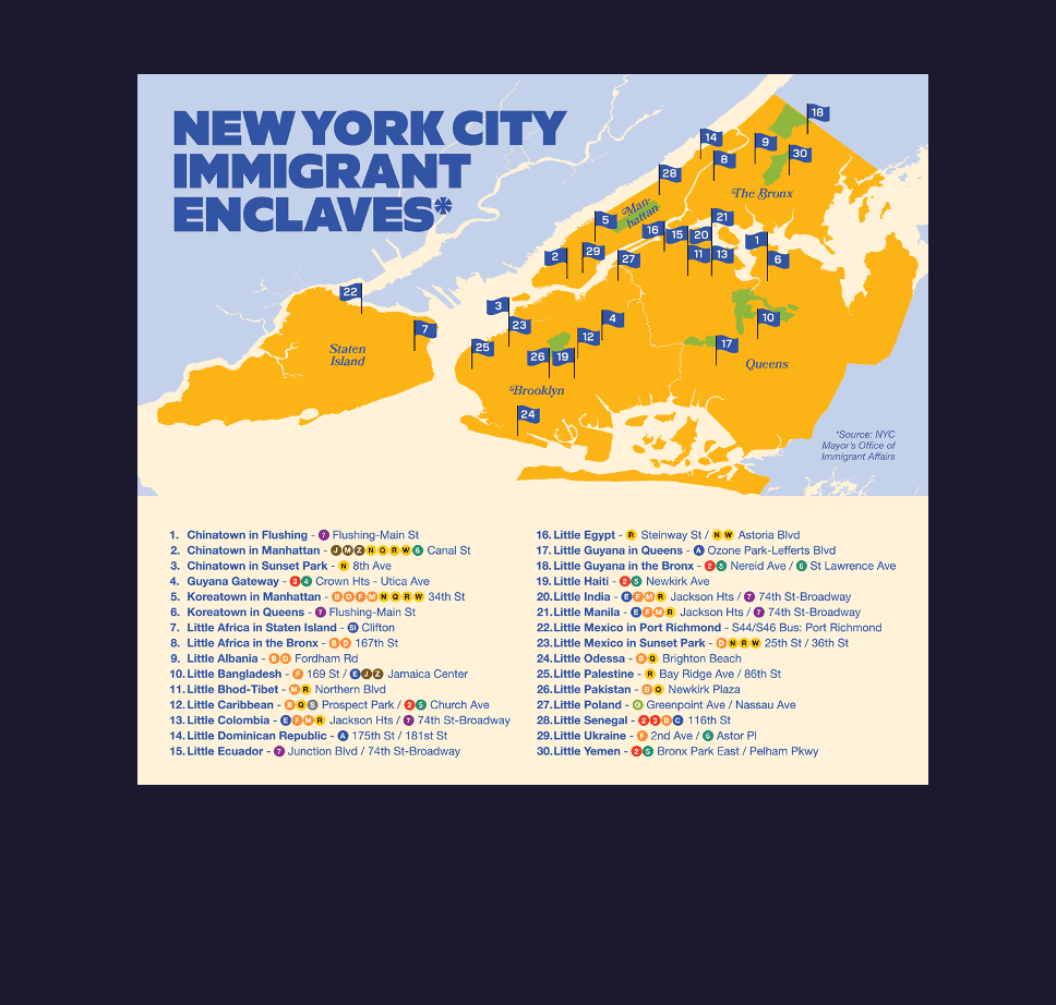 mamdani map of NYC