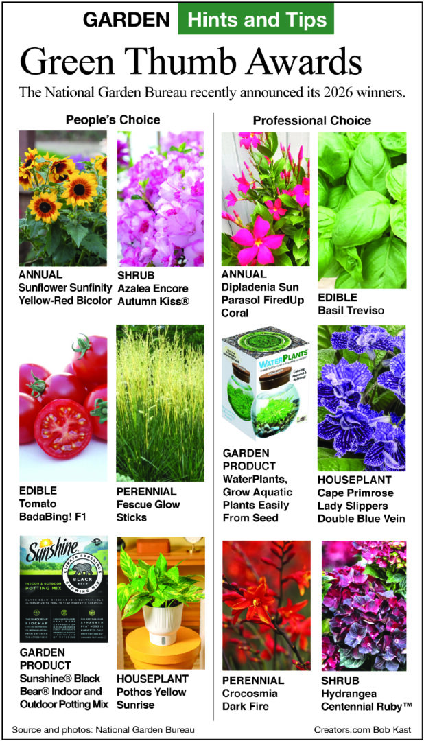 green thumb awards