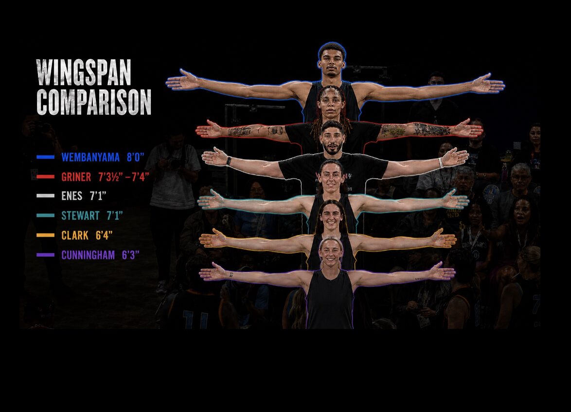 Wingspan comparison of Wembanyama, Griner, Enes Freedom, Breanna Stewart, Caitlin Clark and Sophie Cunningham.