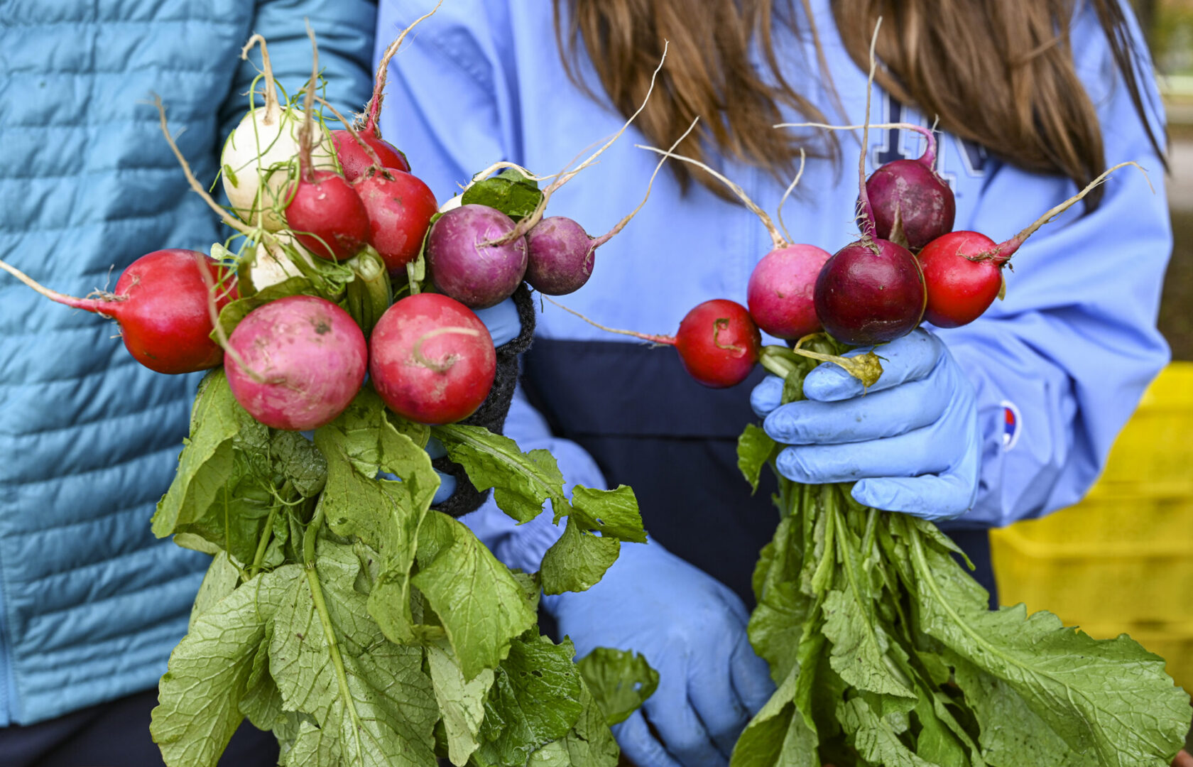 https://www.uri.edu/features/free-farmers-market/