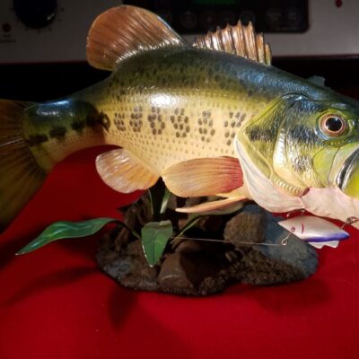 A statue of a large bass fish on a table.