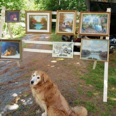 A golden retriever sits in front of a display of paintings.