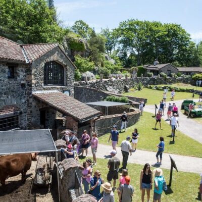 A group of people standing in front of a stone building with a cow.