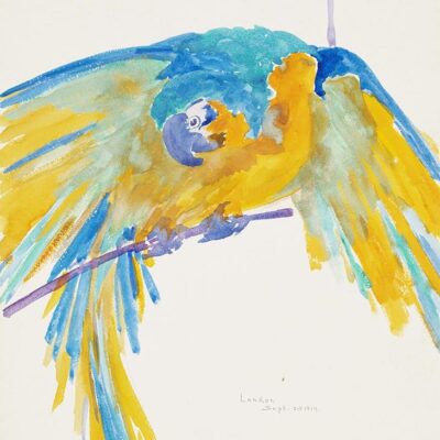 A watercolor painting of a blue and yellow parrot.