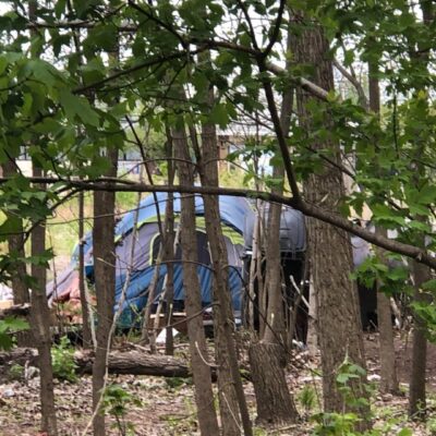 A tent in the woods next to trees.