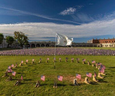 A group of american flags in a grassy field.