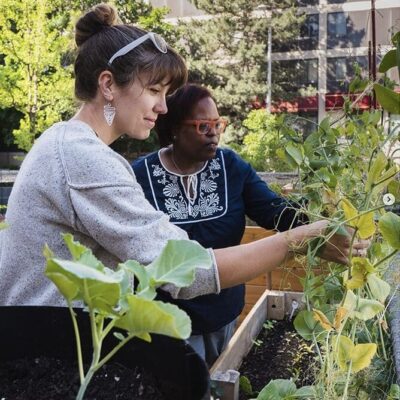 Two women working in a garden in a city.