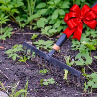 A garden rake resting on soil with green plants and a red bow.