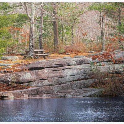 Scenic picnic table by tranquil pond.