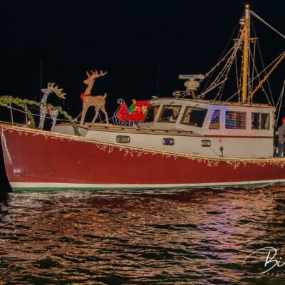 A boat decorated with christmas lights and reindeer on the water.