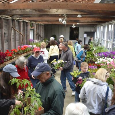 A group of people in Rhode Island looking at plants in a greenhouse.