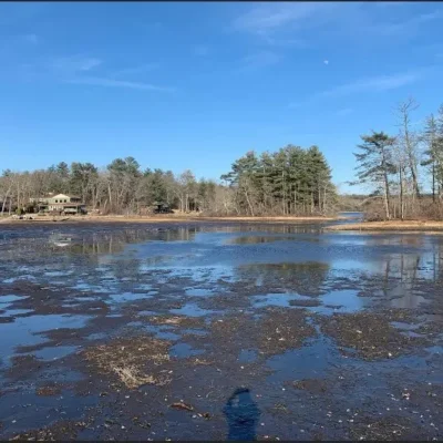A pond in the middle of a wooded area.