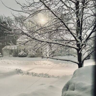 Snow-covered landscape with bare trees under a pale sun.
