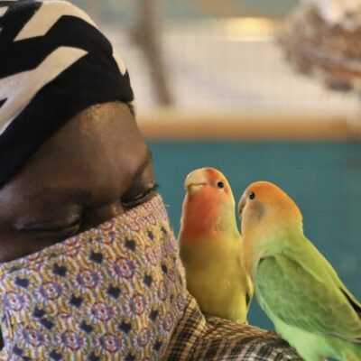A woman wearing a mask with two birds on her shoulder.
