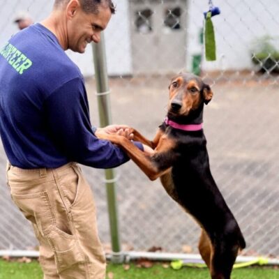 Man playing with a happy dog standing on its hind legs.