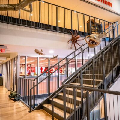 The parish auditorium has a stairway with a shark on it.