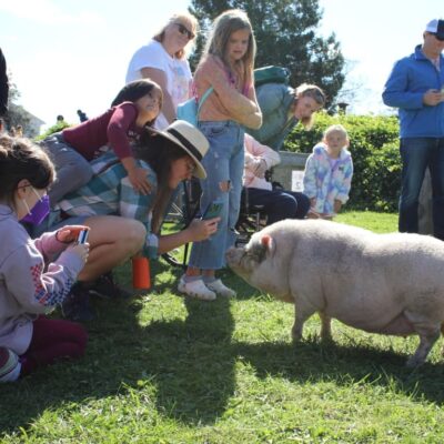 Children and adults admire a large pig.