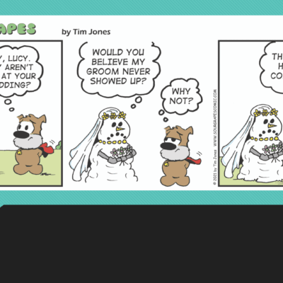 A comic strip about a bride and a teddy bear.