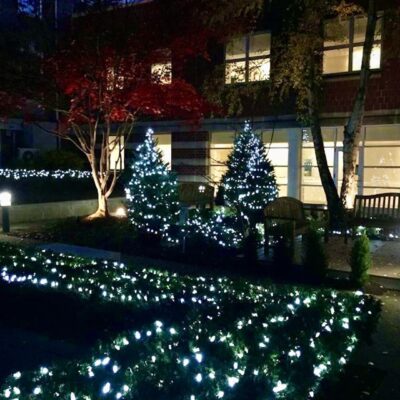 Christmas lights in the courtyard of a building.