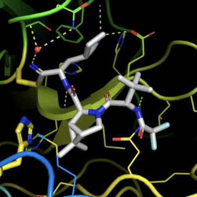 A 3d model of a protein molecule.