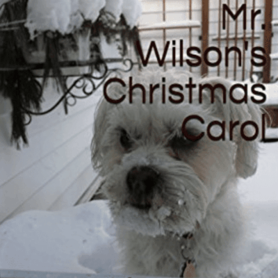 Mr wilson's christmas carol.