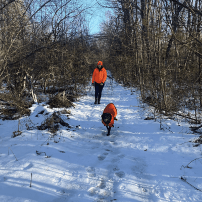 Two people walking a dog in the snow.
