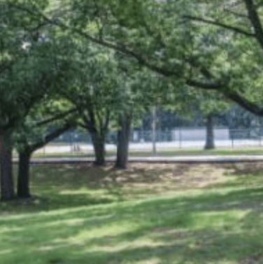 A group of people are sitting on a bench in a park.