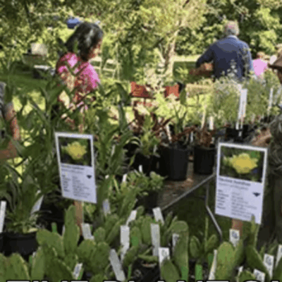A group of people looking at plants in a garden.