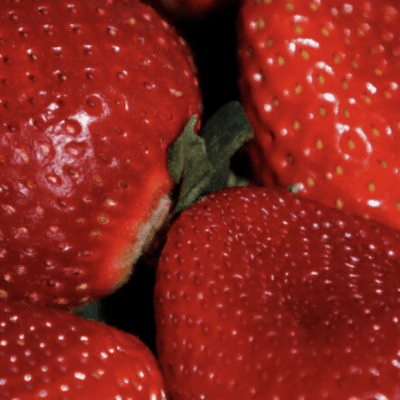A close up of a bunch of red strawberries.