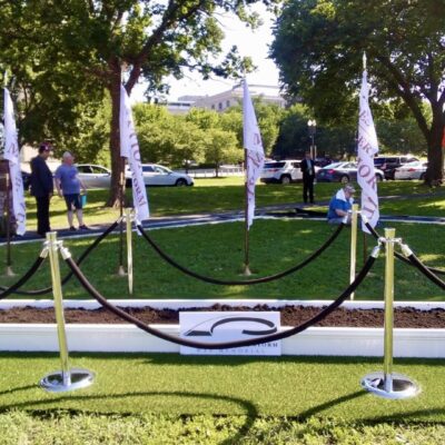 A grassy area with flags and flag poles.