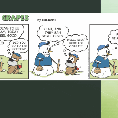 A comic strip with a snowman and a teddy bear.