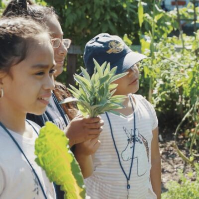 A group of children are looking at plants in the MLK Community Center garden.
