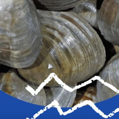 Clams in a blue circle with an arrow.