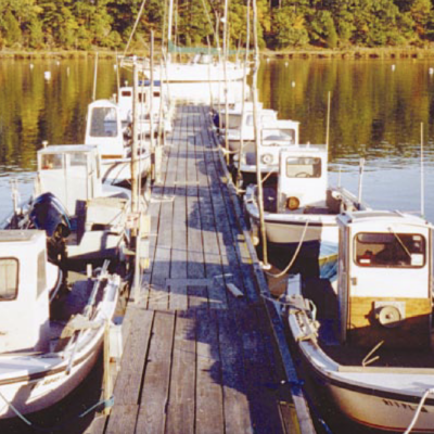 A group of boats docked at a dock.