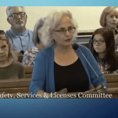 A woman is speaking to a group of people in a courtroom.